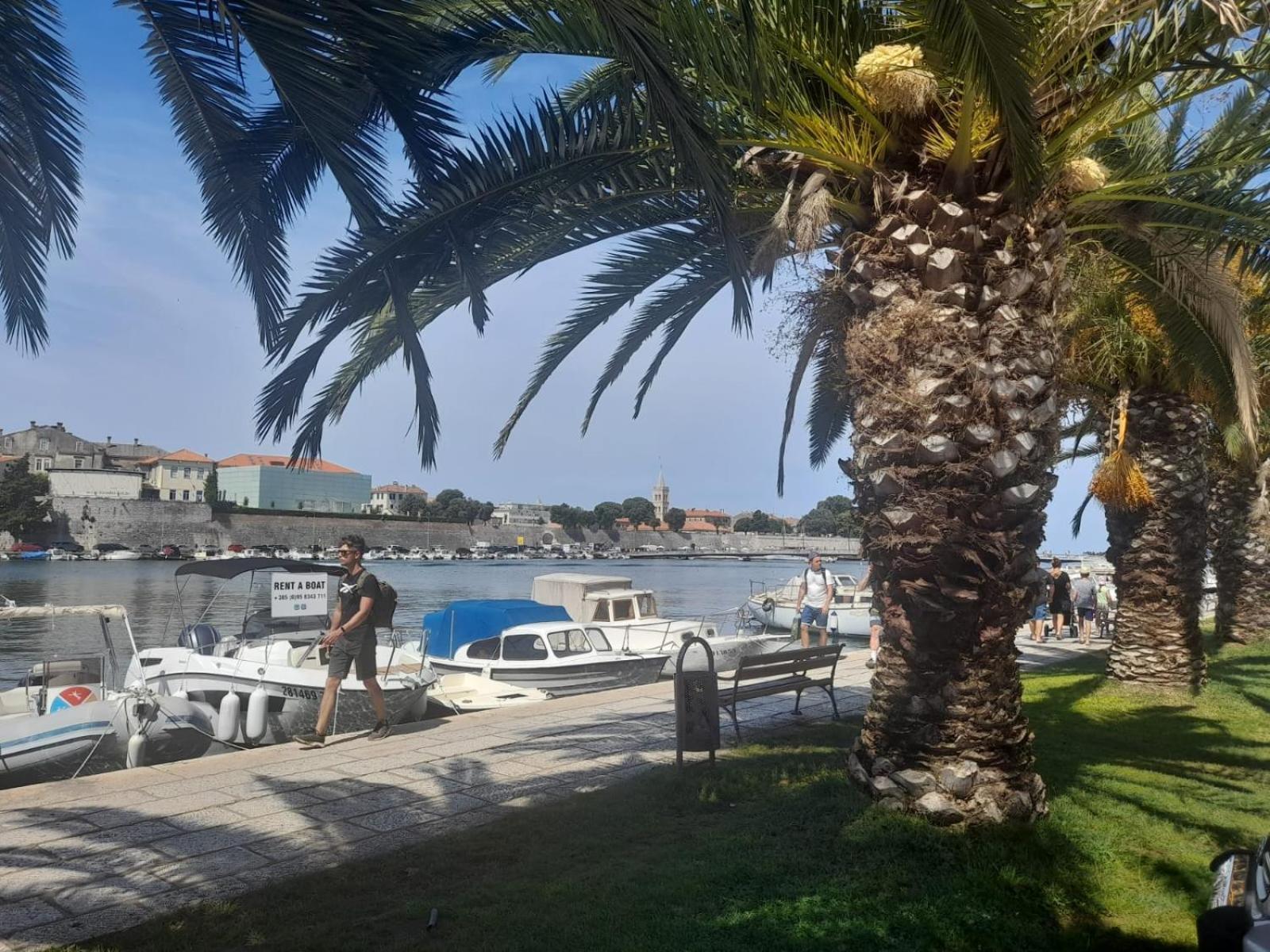 Celestina Zadar